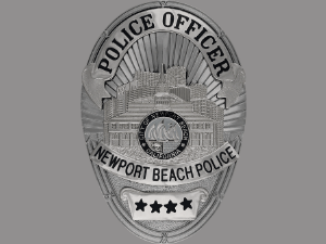 Police badge icon