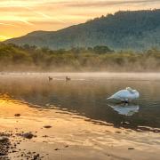 Mark Hewitt's image at Derwentwater