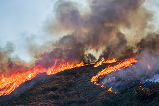 Brush and Tree Landscape Burning with Flame and Smoke During California Wildfire