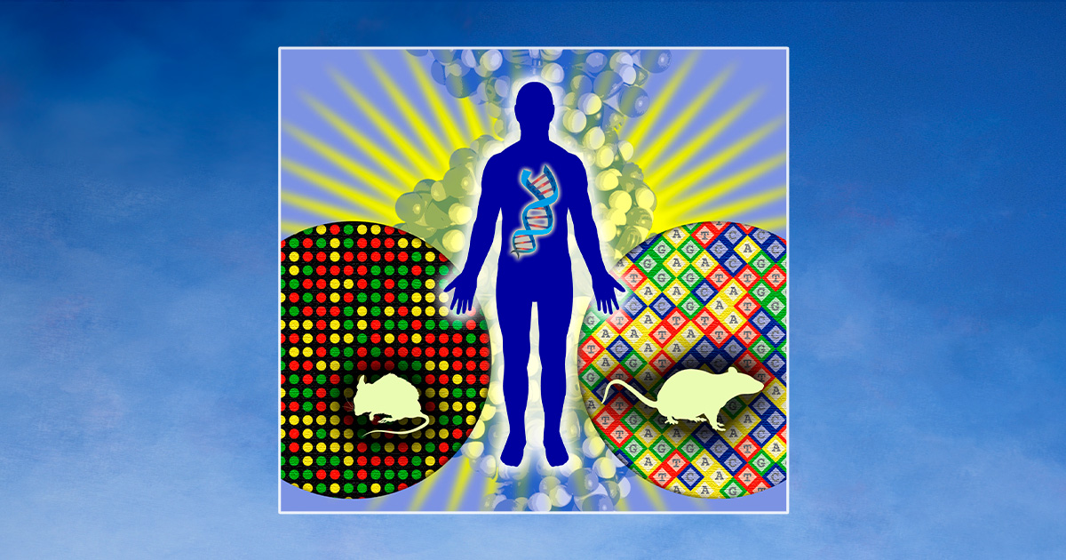 illustration of a man with a DNA chain inside and two circles containing rodes on either side of him