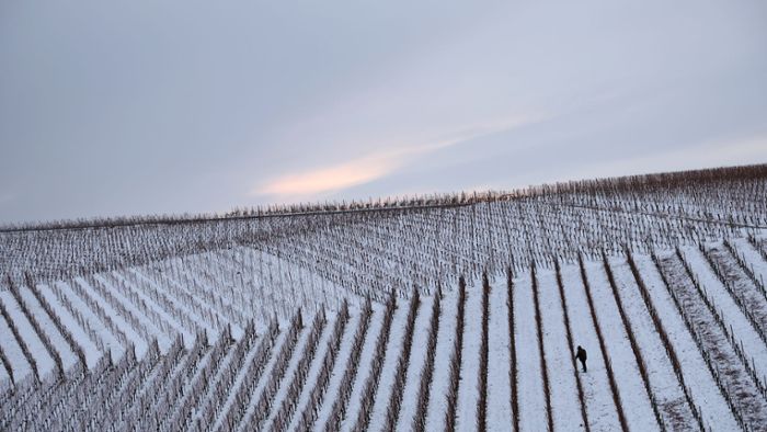 Wetter: Glättegefahr in Bayern - Neuschnee zum Sonntag