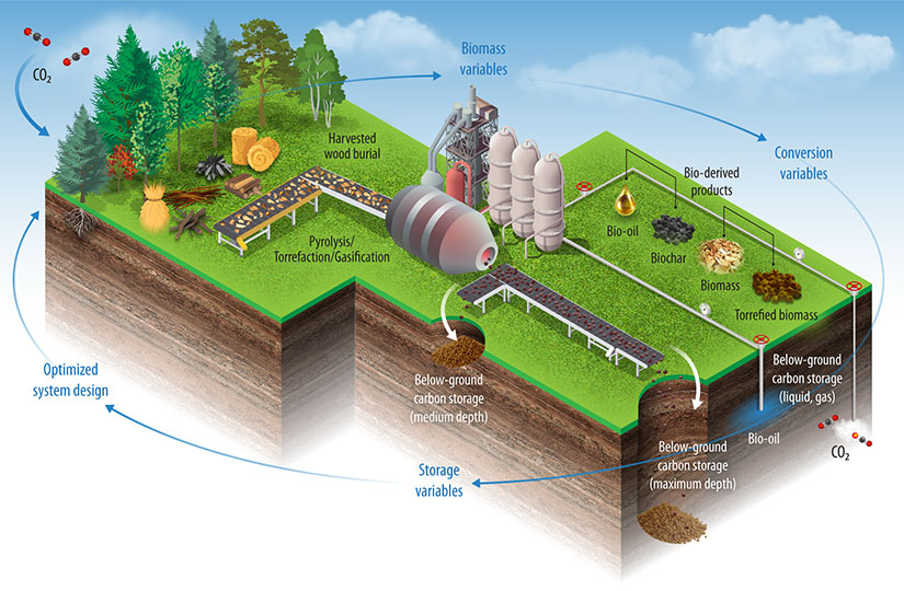 An illustration of biomass conversion processes with arrows flowing from CO2 to Biomass variables to Conversion variables to Storage variables to Optimized system design.