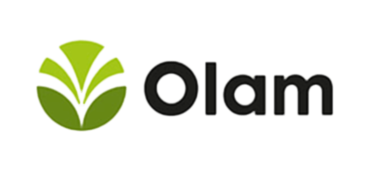 Olam