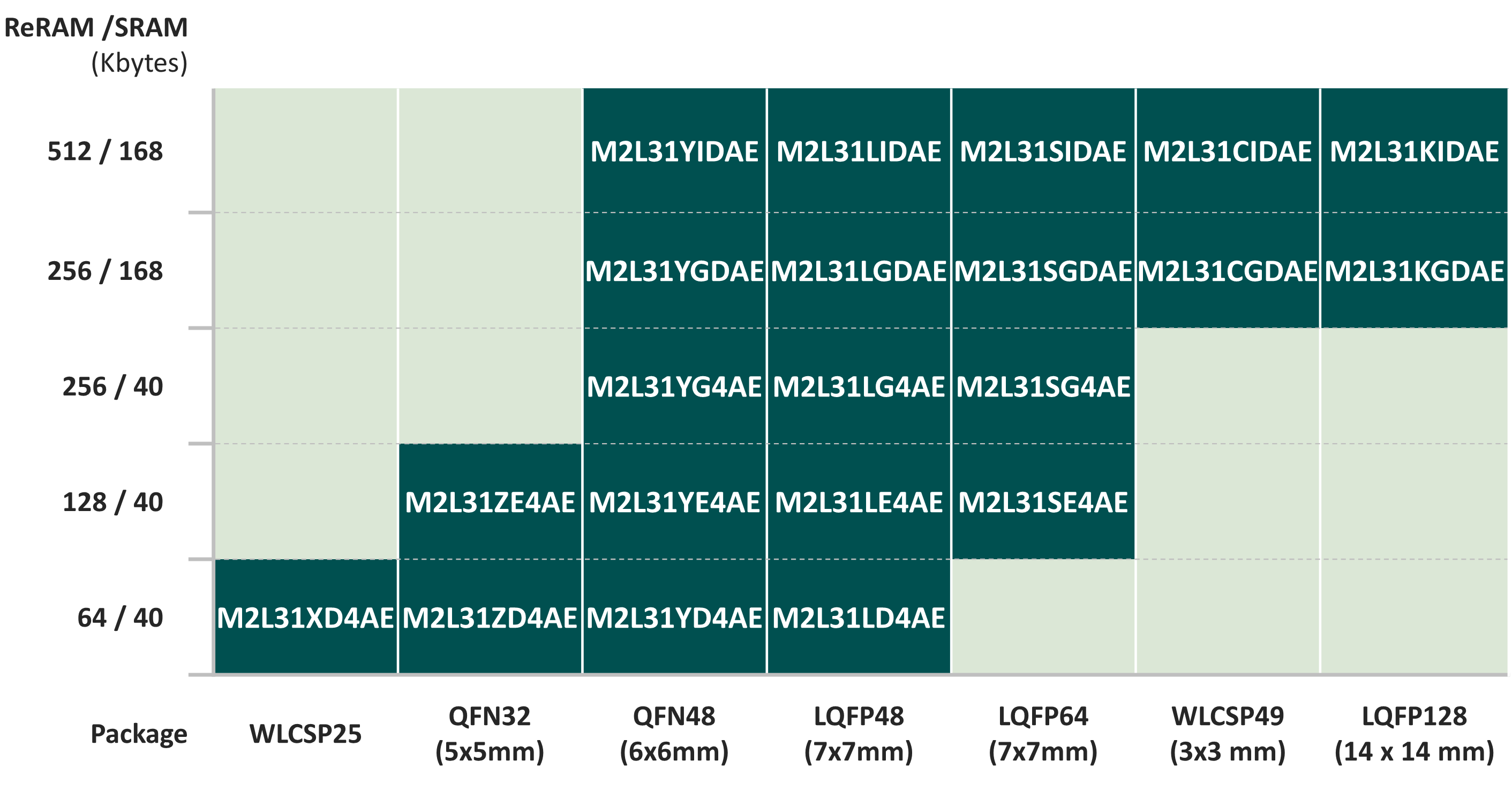 Nuvoton-M2L31 Series