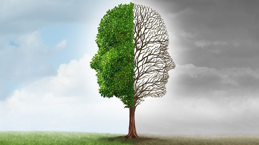 Abstract representation of the differences between bipolar and borderline personality disorder