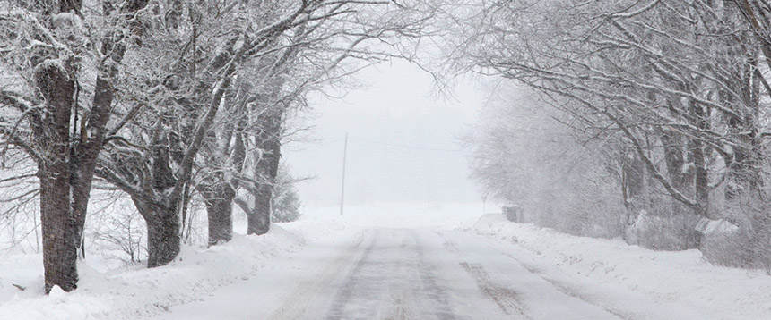 seasons to help illustrate seasonal affective disorder and winter depression amid the pandemic