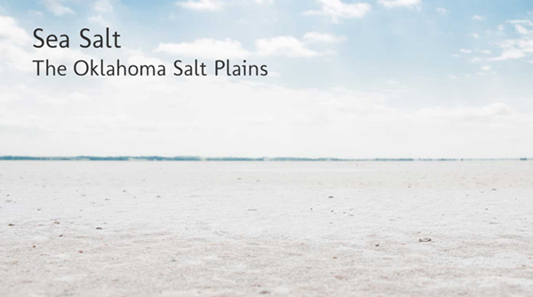 Issue 11, Salt Plains