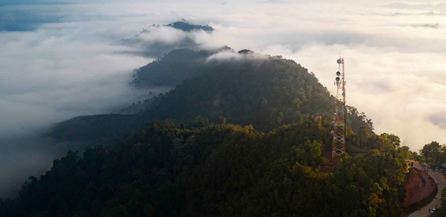 Why Infrastructure Investors Must Address Biodiversity Loss