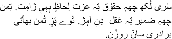 سٔری لُکھ چهہٕ حقوٗق تِہ عزت لِحاظٕ ہِہیٖ ژامِت. تِمن چه‍ہِ ضمير تِہ عَقل دِنِ آمٕژ. تٔوے پَزٕ تُمن بھٲئی برادری سانٛ روزُن.