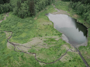 Overhead view of lake