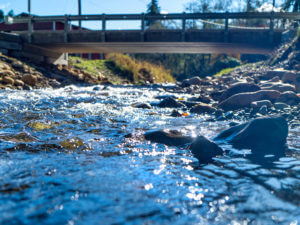 Mid-river with a bridge