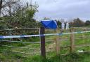 The incident occurred in a field near the Travelodge in Abingdon Road