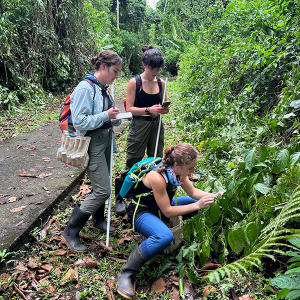 Three students in the jungle of Costa Rica conducting research