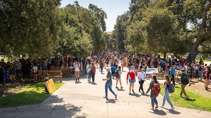 students on the Quad