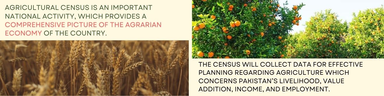 Agricultural Census 04