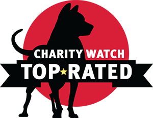 Charity Watch