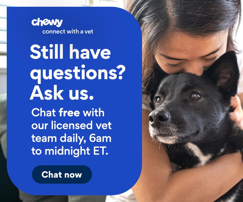 Get Instant Vet Help Via Chat or Video. Connect with a Vet. Chewy Health