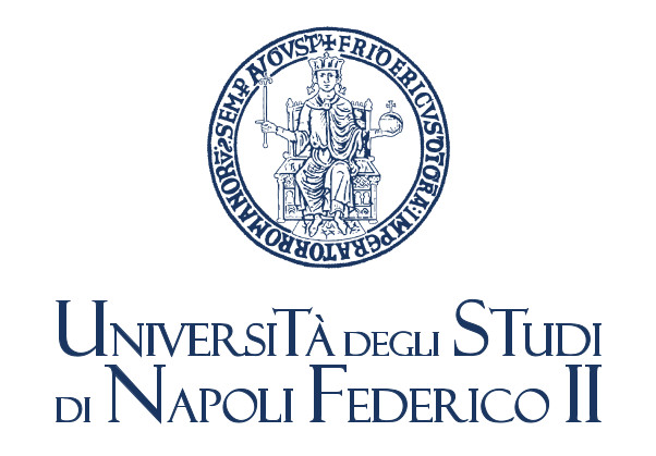 Logo Università degli Studi di Napoli