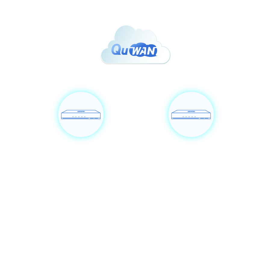 Local Device Identity Verification