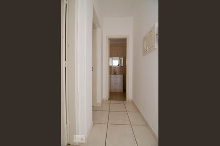 Corredor de apartamento para alugar com 2 quartos, 75m² em São Bernardo, Campinas