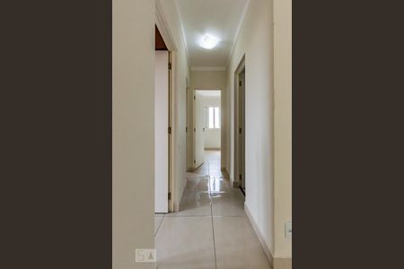 Corredor de apartamento para alugar com 3 quartos, 79m² em Jardim Miranda, Campinas