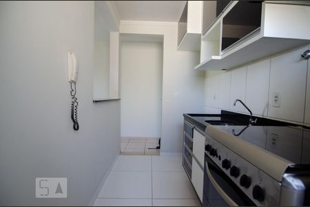 Cozinha de apartamento para alugar com 2 quartos, 51m² em Jardim Nova Europa, Campinas