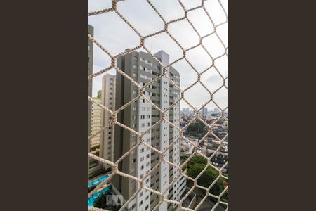 Vista da suíte de apartamento para alugar com 2 quartos, 90m² em Vila Gilda, Santo André