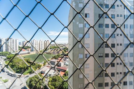 Vista da Janela da Sala de apartamento para alugar com 2 quartos, 70m² em Baeta Neves, São Bernardo do Campo