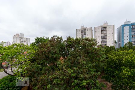 Vista quarto 1 de apartamento à venda com 2 quartos, 70m² em Jardim Gopoúva, Guarulhos