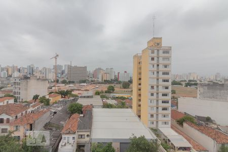 Vista Sala de apartamento para alugar com 2 quartos, 50m² em Cambuci, São Paulo