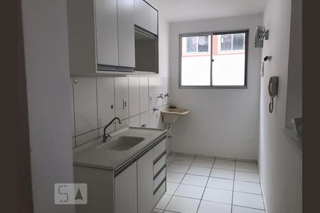 Cozinha de apartamento para alugar com 2 quartos, 50m² em Loteamento Parque São Martinho, Campinas