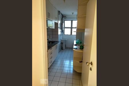 Cozinha de apartamento para alugar com 2 quartos, 74m² em Vila Isa, São Paulo