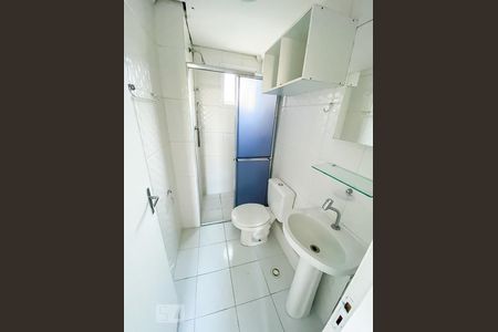 Banheiro da Suíte de apartamento para alugar com 2 quartos, 58m² em Vila Mazzei, São Paulo