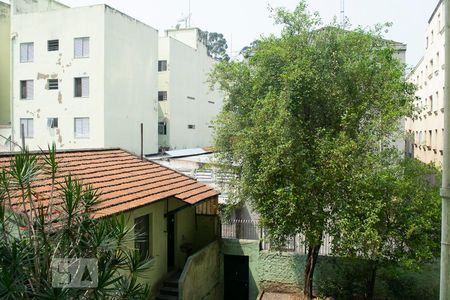 VISTA SALA de apartamento para alugar com 3 quartos, 90m² em Santana, São Paulo