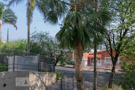 Vista da Suíte de apartamento para alugar com 3 quartos, 125m² em Jardim Chapadão, Campinas