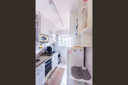 Cozinha de apartamento para alugar com 2 quartos, 54m² em Sâo Bernardo, Campinas