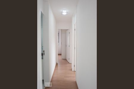 Corredor de apartamento para alugar com 3 quartos, 60m² em Belenzinho, São Paulo