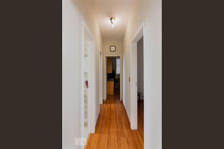 Corredor de apartamento para alugar com 3 quartos, 110m² em Santo Antônio, Belo Horizonte