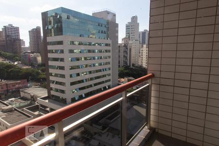 Vista da Sacada da Sala de apartamento para alugar com 2 quartos, 130m² em Lourdes, Belo Horizonte