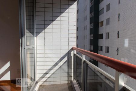 Sacada da Sala de apartamento para alugar com 2 quartos, 130m² em Lourdes, Belo Horizonte