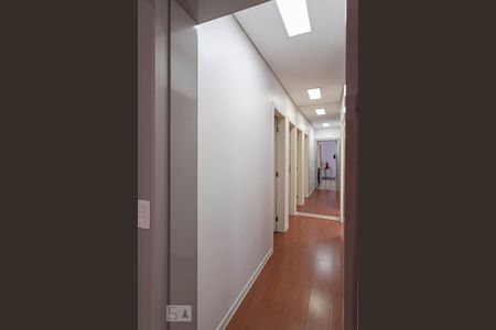 Corredor de apartamento para alugar com 3 quartos, 110m² em Palmares, Belo Horizonte