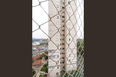 Vista quarto 1 de apartamento à venda com 3 quartos, 65m² em Vila Venditti, Guarulhos