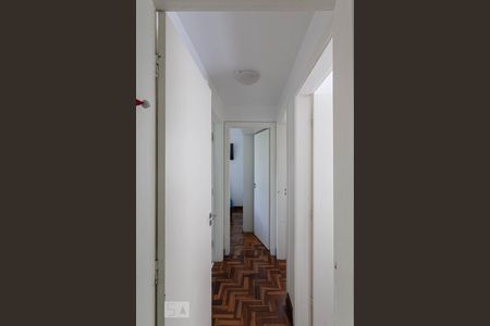 Corredor de apartamento para alugar com 3 quartos, 90m² em Santo Antônio, Belo Horizonte