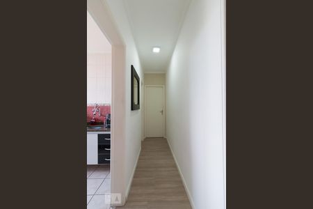 Corredor de apartamento para alugar com 1 quarto, 45m² em Vila Fátima, Guarulhos