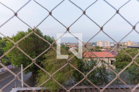 Vista da Suíte de apartamento para alugar com 3 quartos, 93m² em São Bernardo, Campinas