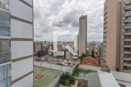 Vista da Sala de apartamento à venda com 2 quartos, 86m² em Santo Antônio, Belo Horizonte