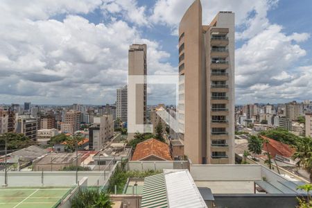 Vista da Sala de apartamento à venda com 2 quartos, 86m² em Santo Antônio, Belo Horizonte