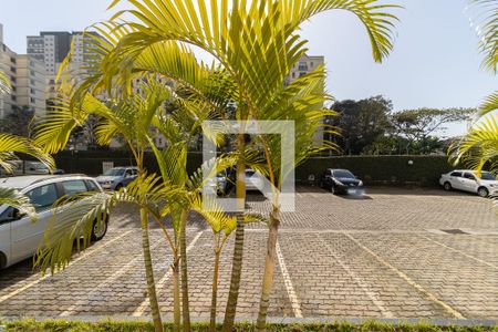 Vista do Quarto 1 de apartamento à venda com 2 quartos, 62m² em Jardim Santa Emília, São Paulo