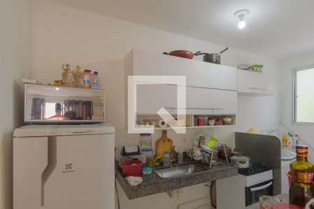 Cozinha de apartamento para alugar com 2 quartos, 46m² em Loteamento Parque São Martinho, Campinas