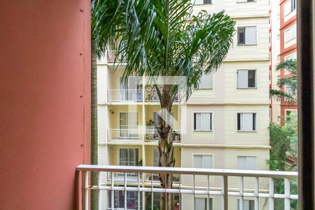 Vista da Sala de apartamento para alugar com 3 quartos, 65m² em Baeta Neves, São Bernardo do Campo